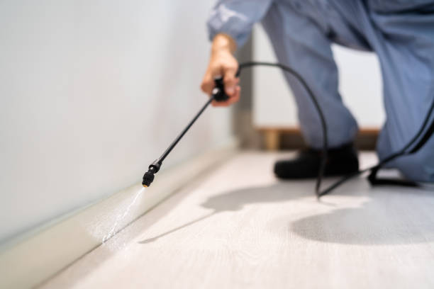 Licensed Mosquito Control service in Greenville, TX - Show Me Pest Control