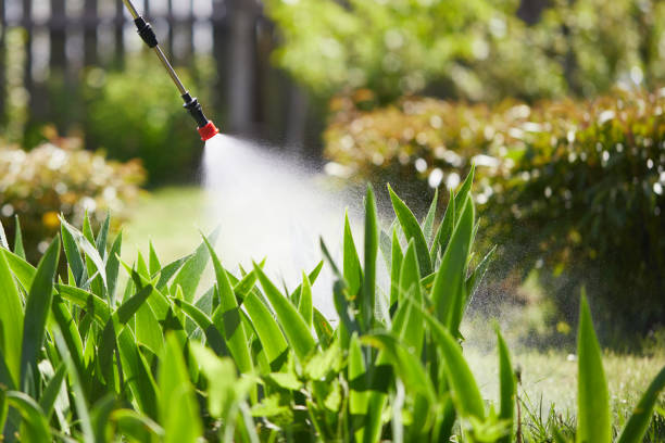 24/7 Emergency Mosquito Control experts in Greenville, TX