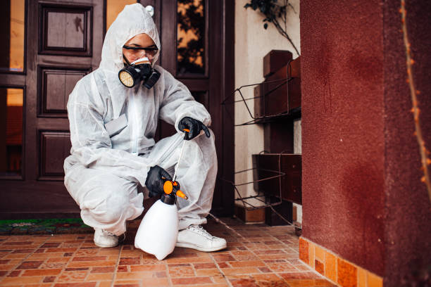Reliable Mosquito Control contractor in Greenville, TX by Show Me Pest Control